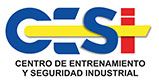 cesi seguridad